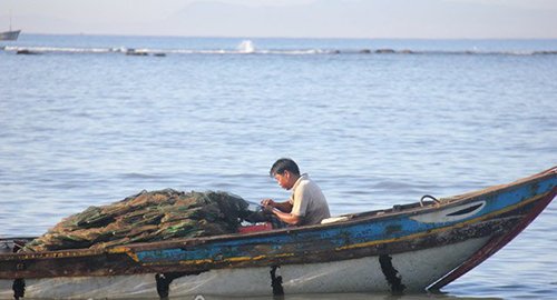 Cho cua, ghẹ ăn... cá "đặc sản"