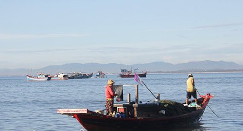 Cho cua, ghẹ ăn... cá "đặc sản"