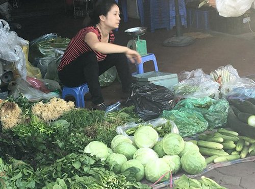 Đà Lạt rau rẻ thối, Hà Nội ăn đồ Tàu: Chờ Bộ trưởng ra tay