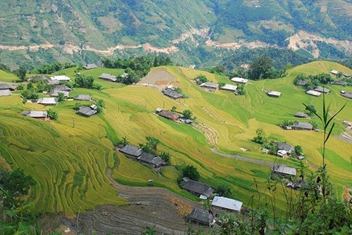 Những điểm ngắm lúa chín đẹp ngỡ ngàng mùa thu