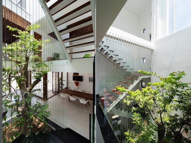 Đẹp hút hồn với căn nhà tràn ngập cây xanh ở Đồng Nai