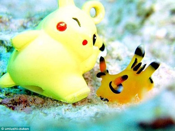 Sinh vật giống Pokémon gây sốt ở Nhật Bản