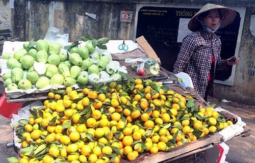 Tám loại hoa quả Trung Quốc nhập về Việt Nam nhiều nhất