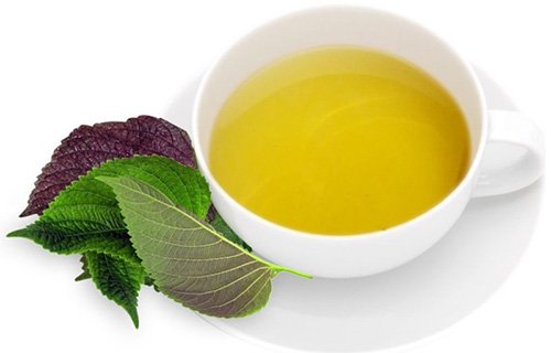 Da trắng căng mướt, sạch mụn sần nhờ 10 lá tía tô