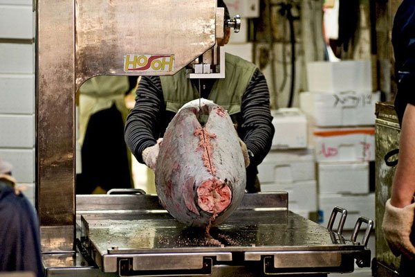 Đủ loại hải sản ngon hết sảy ở khu chợ cá lớn nhất thế giới