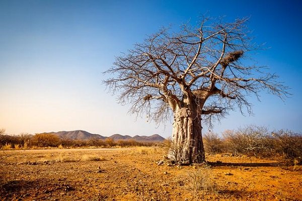 Namibia - Chân trời bất tận