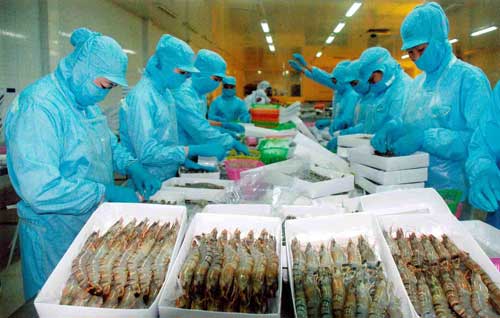 Xuất khẩu thủy sản sang Trung Quốc: Thị trường 20 tỷ đô có “dễ ăn”?