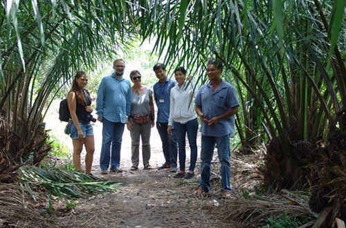 Làm nông trông… du lịch