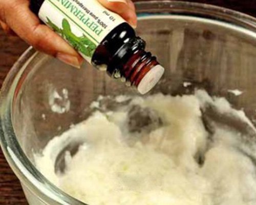 Tự chế kem dưỡng ẩm từ gel lô hội và dầu dừa