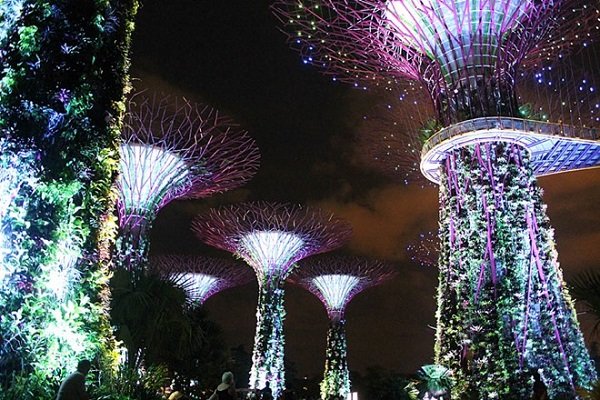 Những điểm tham quan miễn phí đầy hấp dẫn ở Singapore