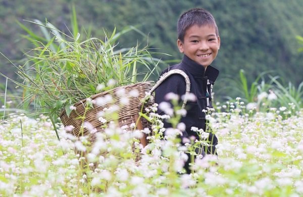 Cao nguyên Hà Giang mùa này đá đã nở hoa