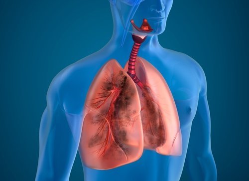 10 cách giúp thanh lọc phổi tự nhiên hiệu quả
