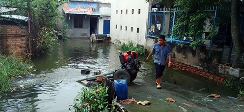 TP.HCM: Người nuôi cá khốn đốn vì triều cường