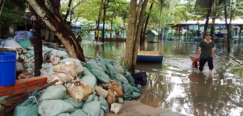 TP.HCM: Người nuôi cá khốn đốn vì triều cường