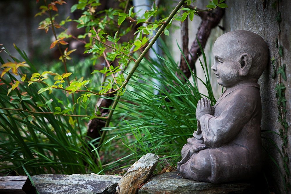 Phật dạy: Con người sống trên đời ngẩng đầu cần ý chí, cúi đầu cần dũng khí