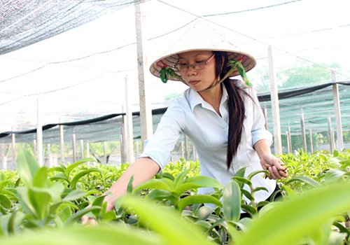 NTM TP.HCM: Ngân sách bỏ 1 đồng, huy động được... 32 đồng