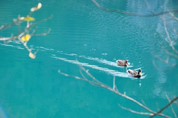 Plitvice – Bức tranh hoàn mỹ của thế giới tự nhiên