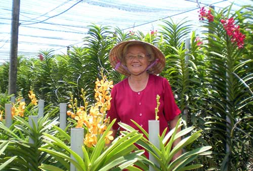 “Trùm” hoa lan tuổi 70 ở đất thép Củ Chi