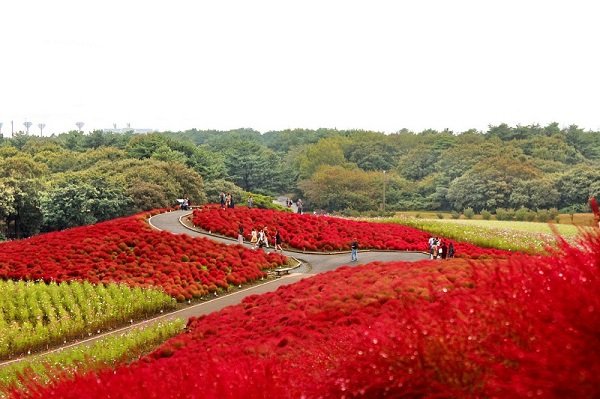 Hitachi – Cảm xúc không biết gọi tên