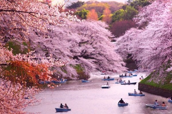 10 điểm đến đẹp đến khó tin ở Nhật Bản