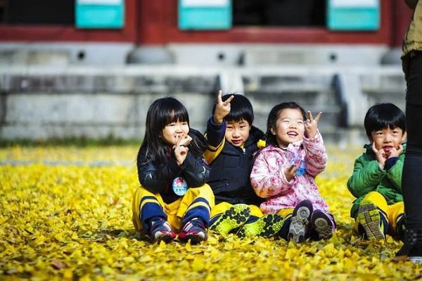 Ngẩn ngơ với cảnh đẹp mùa thu "không thể đẹp hơn" ở Hàn Quốc